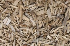 biomass boilers Tassagh
